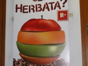 Program „Kawa czy herbata”